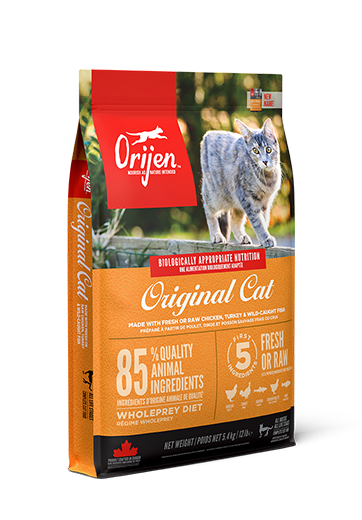 ORIGINAL CAT